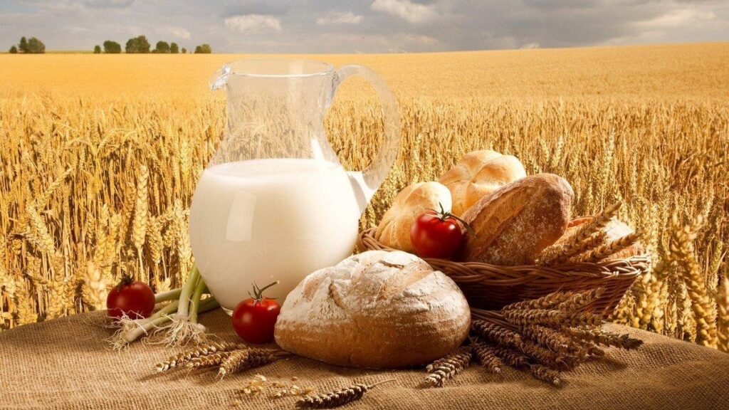Українська продукція відповідає найвищим стандартам та вже представлена у понад 190 країнах світу