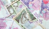 Уряд збільшив фінансову підтримку для малих фермерських господарств