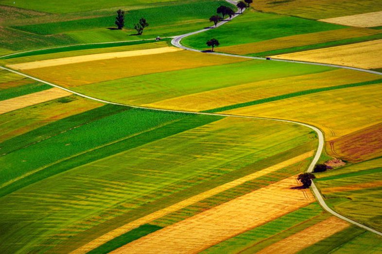 Мінекономіки спростило порядок встановлення ділянок, вільних від шкідливих організмів