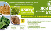 Живе спілкування в полі
