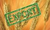 З початку року Україна експортувала 14,4 млн. тонн зернових та олійних культур
