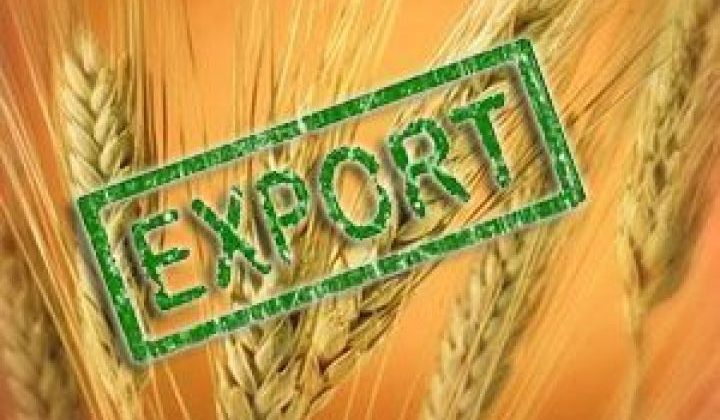 З початку року Україна експортувала 14,4 млн. тонн зернових та олійних культур