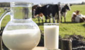 Бізнес підтримує розширення програми контролю сирого молока на національний рівень
