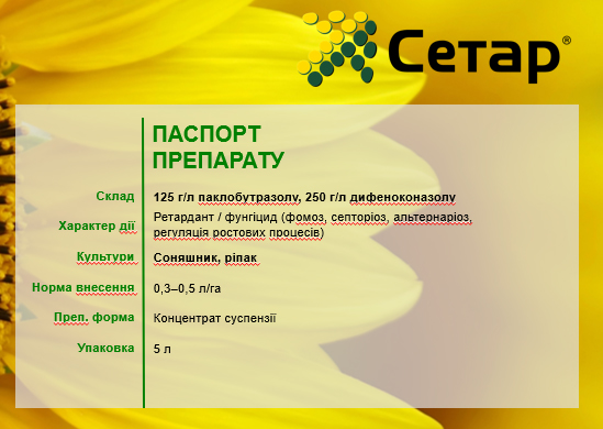 Сетар®: регуляція росту та фунгіцидний захист на ріпаку й соняшнику. Ключові аспекти