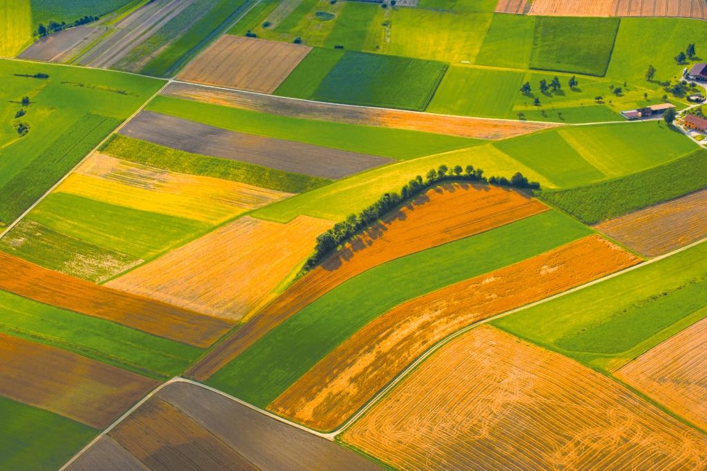 Наступні етапи ринку землі: дерегуляція, децетралізація і консолідація