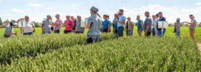 День поля у ПП «Західний Буг День поля у ПП «Західний Буг
