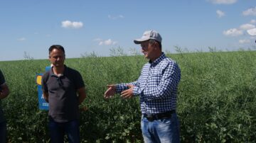 День поля компанії HORSCH