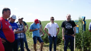 День поля компанії HORSCH