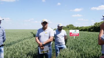 День поля компанії HORSCH