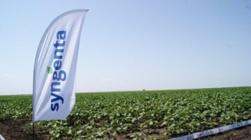 Живе спілкування у полі