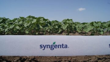 Живе спілкування у полі