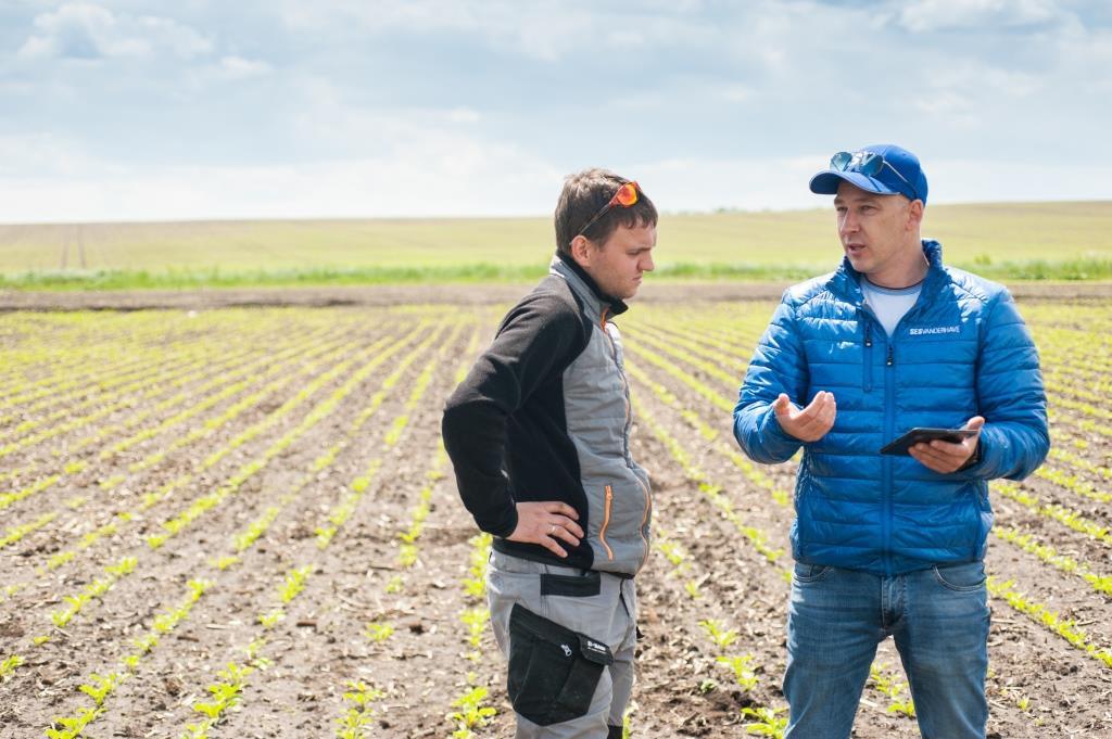 Цукровий буряк: від сівби – до збирання. У новий сезон разом з ПП «Західний Буг»