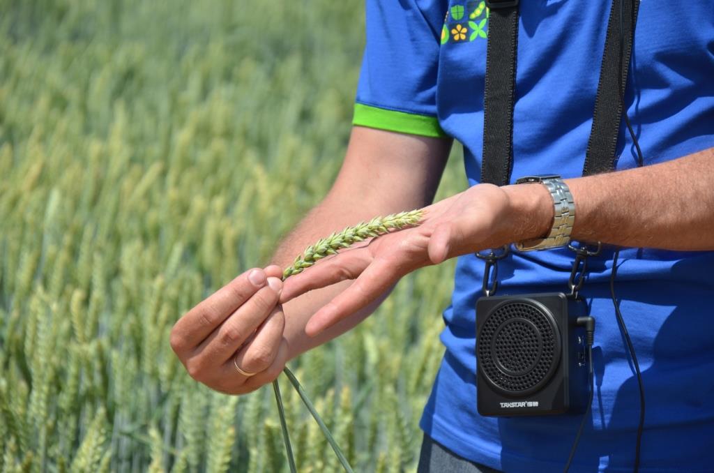 Земля вікінгів. Підкорювачі полів. Digital Agro Show