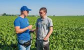 Цукровий буряк: від сівби – до збирання. ПП «Західний Буг»: «Гичка здорова, урожай має бути гарним»