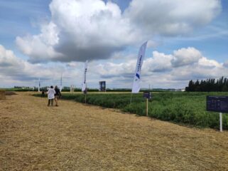 День поля компанії Vitagro Partner