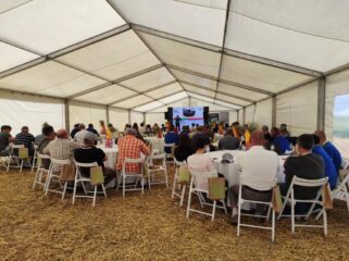 День поля компанії Vitagro Partner