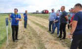 День поля Vitagro Partner у Балаклійський район Харківська область