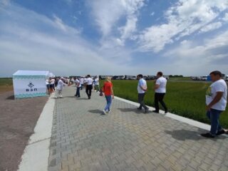 День поля у ТОВ «Волинь-зерно-продукт»: компанія святкує 20-річний ювілей