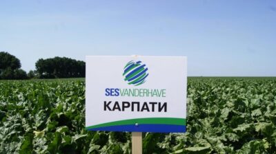 День поля "Цукровий буряк - вибір розумних", с. Рахнівка День поля "Цукровий буряк - вибір розумних", с. Рахнівка