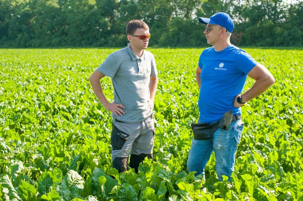 Від сівби до збирання 07.07.2021