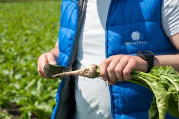 Від сівби до збирання 23.06.2021