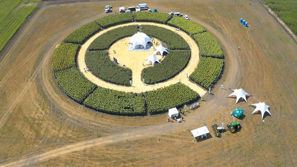 «Центр агрокультурних рішень» – насіннєвий бренд Lidea активно завойовує український ринок