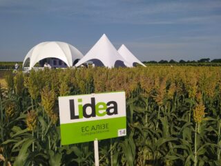 Національный День Поля "Центр агрокультурних рішень"