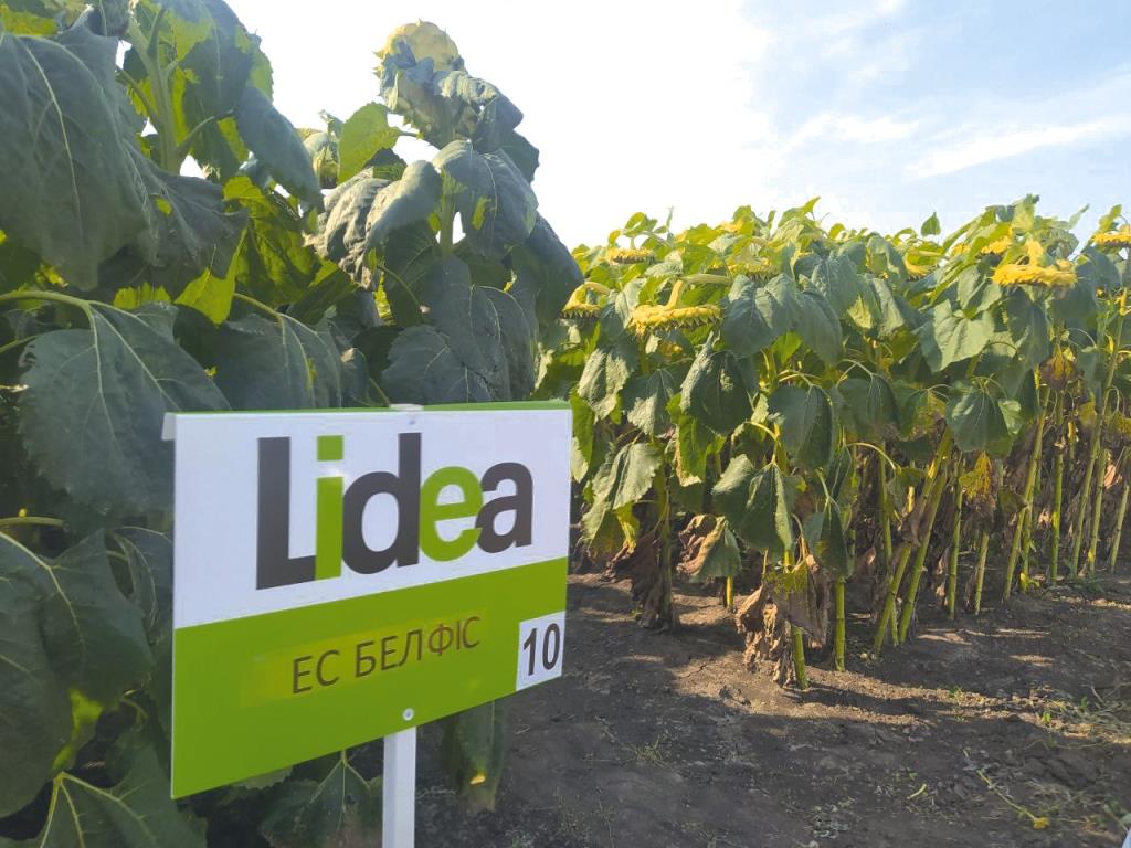 «Центр агрокультурних рішень» – насіннєвий бренд Lidea активно завойовує український ринок