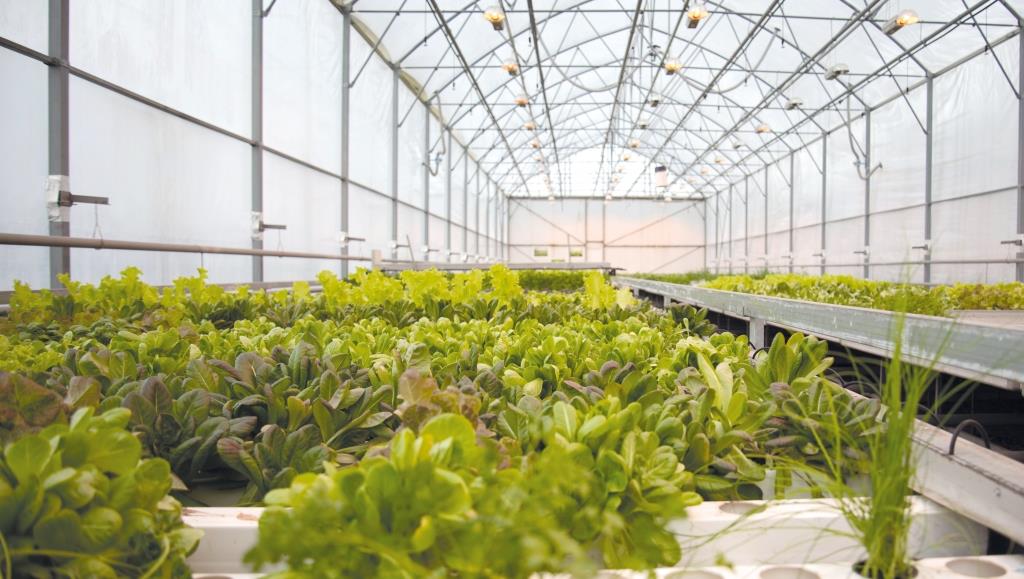 Якісна освіта та фахова підготовка спеціалістів – це головний пріоритет Поліського національного університету