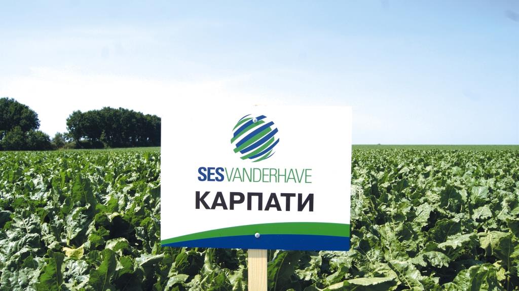 Цукровий буряк – вибір розумних!