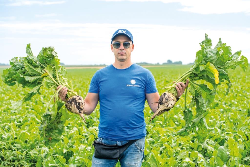 Олег Чалик, заступник директора з рослинництва ПАП «Агропродсервіс»