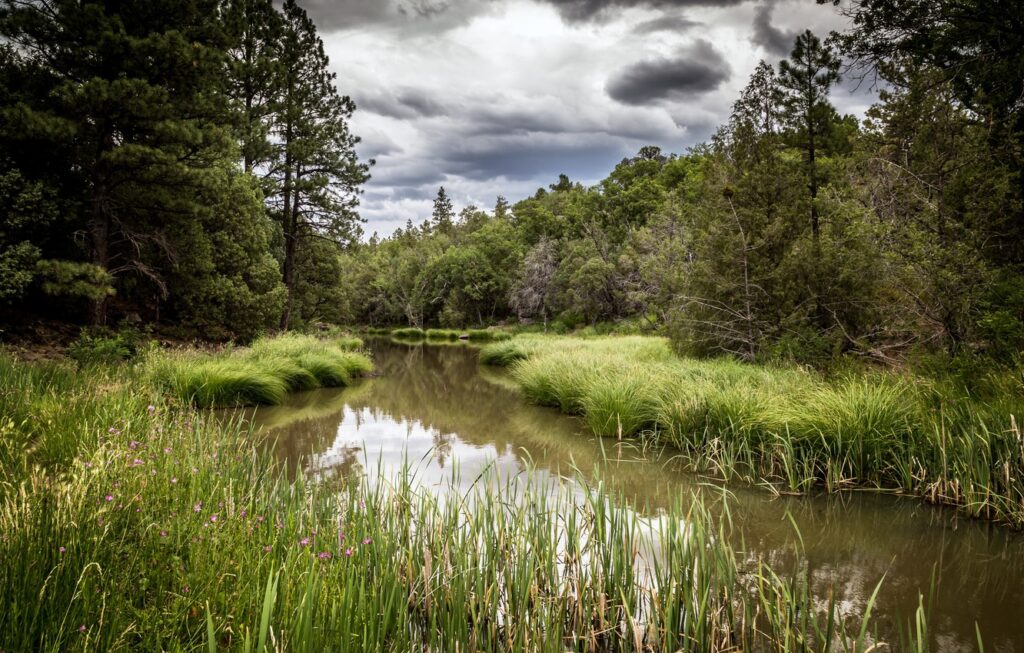 Через 10 років найціннішим ресурсом буде не нафта і не газ, а прісна вода