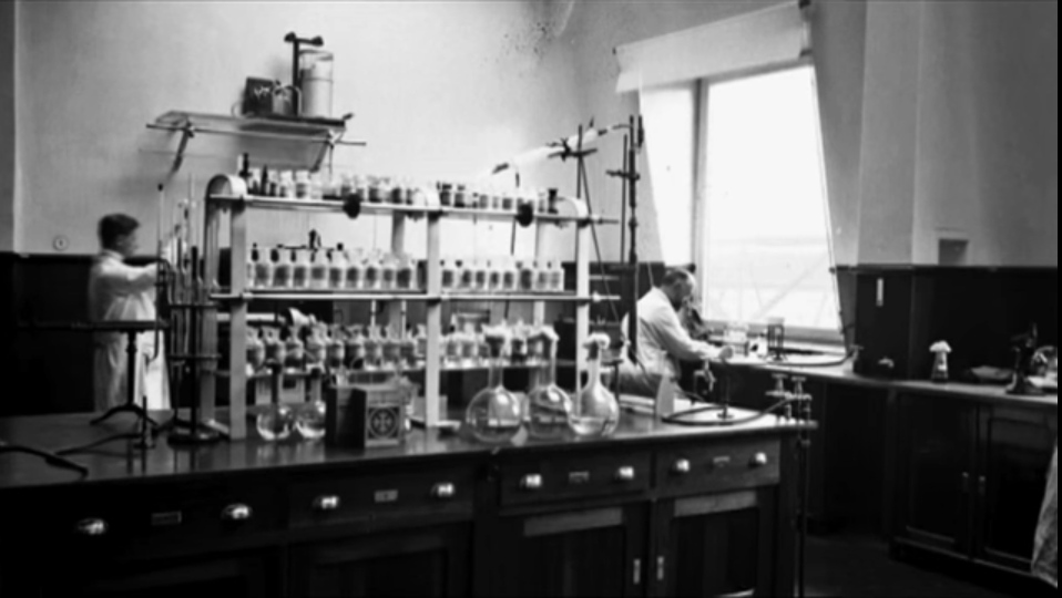 Компанія Bayer: творець інноваційних препаратів, які користуються великим попитом