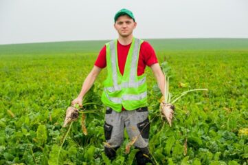Від сівби до збирання 13.09.2021