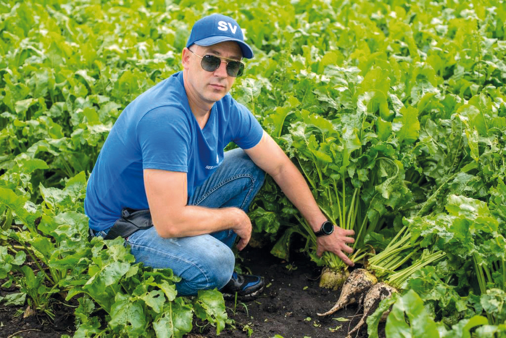 Цукровий буряк: від сівби – до збирання. У ПП «Західний Буг» розпочали збирання цукрових буряків