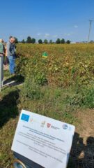 День сої: польський досвід проведення практичних заходів для фермерів