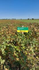 День сої: польський досвід проведення практичних заходів для фермерів