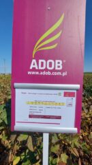 День сої: польський досвід проведення практичних заходів для фермерів