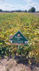 День сої: польський досвід проведення практичних заходів для фермерів