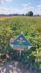 День сої: польський досвід проведення практичних заходів для фермерів