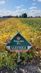 День сої: польський досвід проведення практичних заходів для фермерів