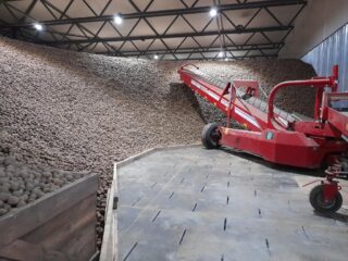 "Контінентал Фармерз Груп" завершила будівництво найсучаснішого картоплесховища в Україні (Фоторепортаж)