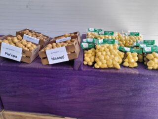 "Контінентал Фармерз Груп" завершила будівництво найсучаснішого картоплесховища в Україні (Фоторепортаж)