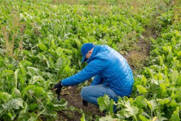 Від сівби до збирання 1.10.2021