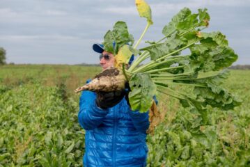 Від сівби до збирання 1.10.2021