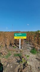 День сої: польський досвід проведення практичних заходів для фермерів