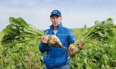 Цукровий буряк: від сівби – до збирання. У ПАП «Агропродсервіс» задоволені проміжними результатами збирання коренеплодів