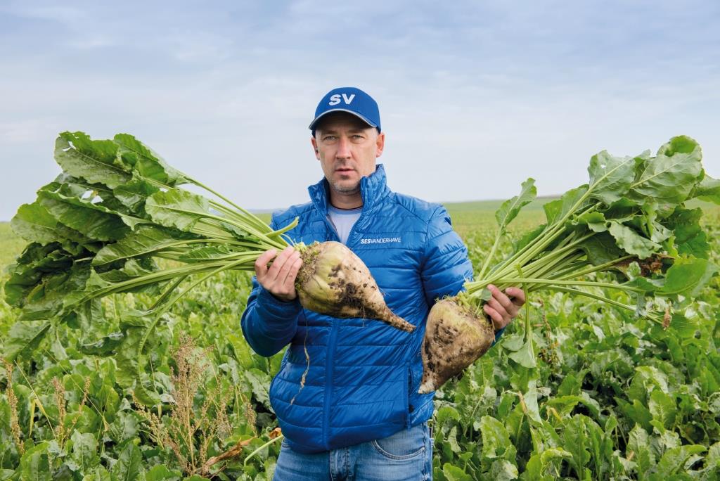 Цукровий буряк: від сівби – до збирання. У ПАП «Агропродсервіс» задоволені проміжними результатами збирання коренеплодів