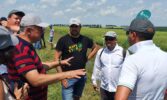 Дні поля компанії ДСВ відвідали більше 3 000 клієнтів