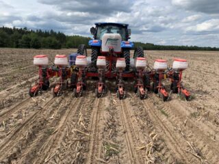 Унікальна технологія проєкту FreeFarm забезпечує живлення та вегетацію рослин на вищому рівні